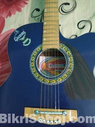 Acoustic Guitar